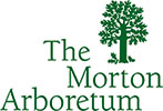 logo-morton